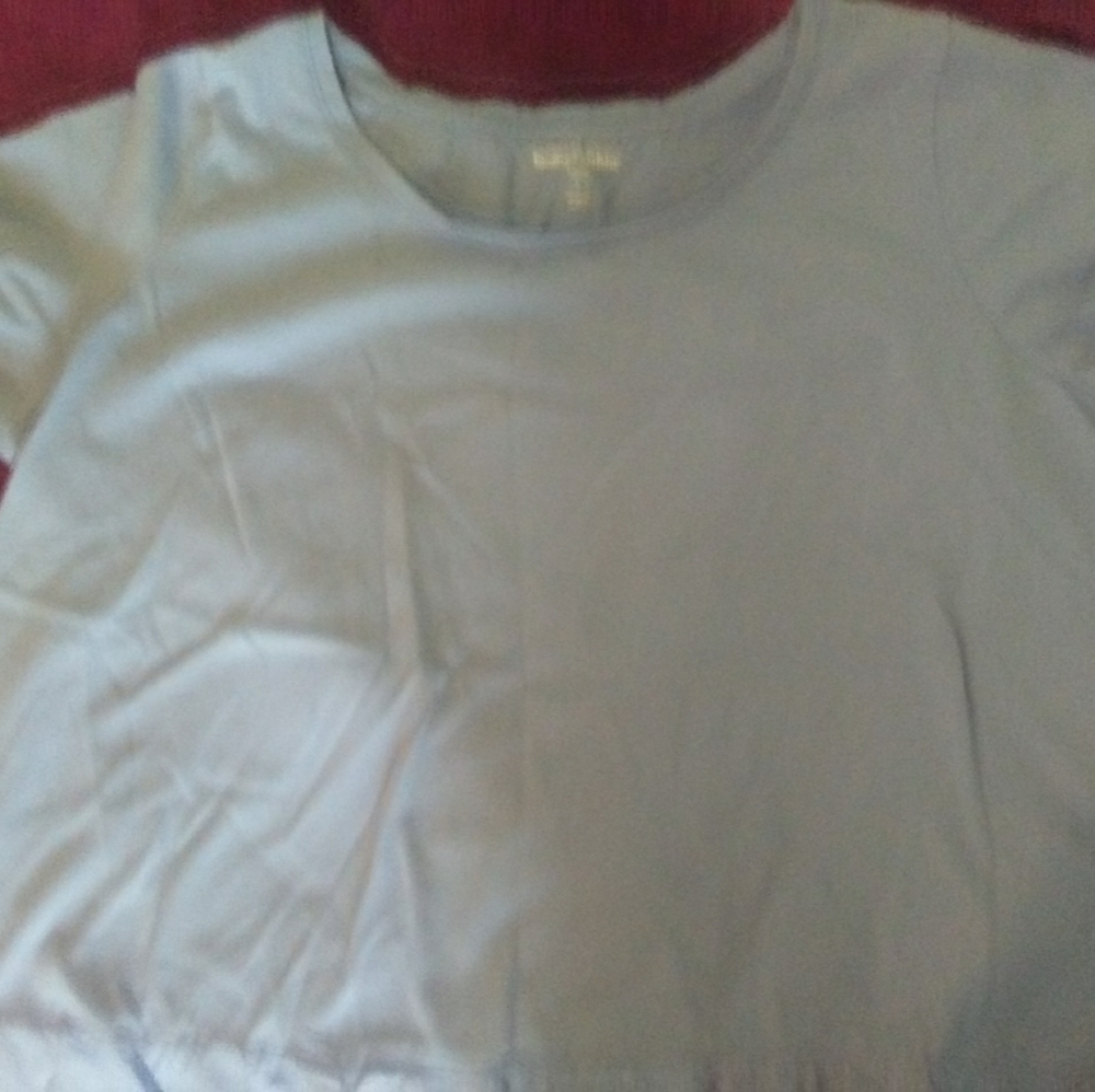 This is a L size (18 to 20) Woman Within tunic